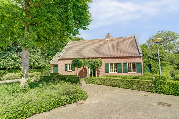 Foto 61 van Spoorpad 8