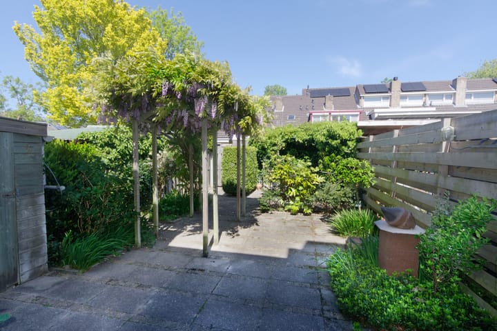 Foto 5 van Obsidiaan 11