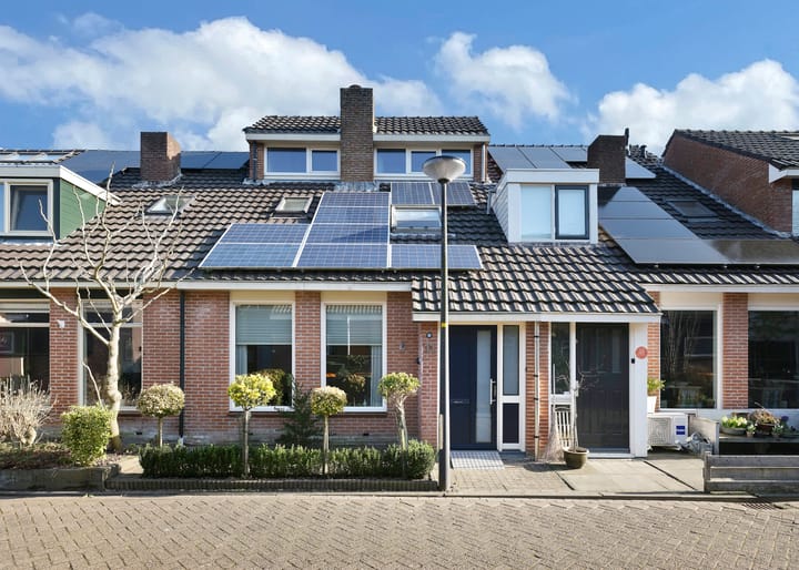 Foto 30 van Obsidiaan 11