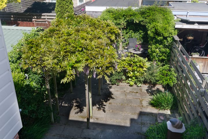 Foto 24 van Obsidiaan 11