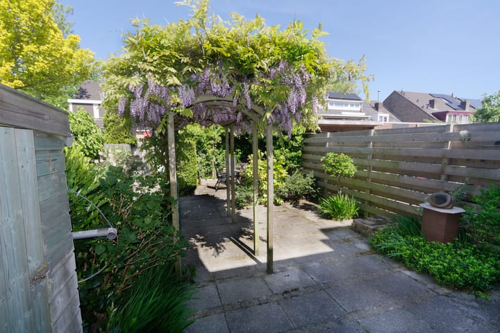 Foto 25 van Obsidiaan 11