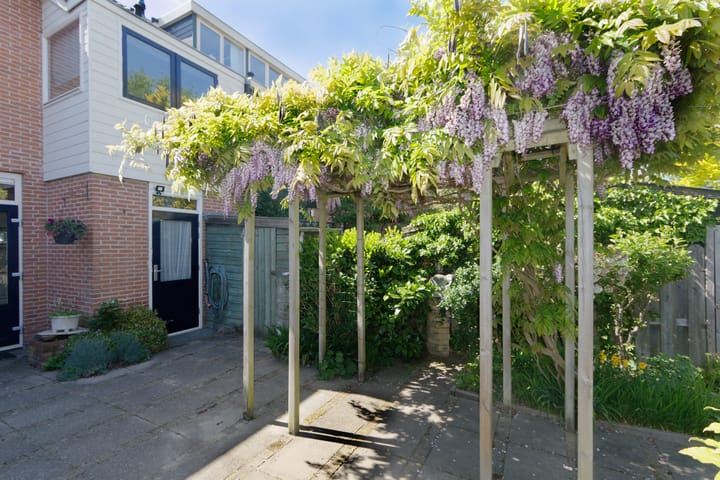 Foto 27 van Obsidiaan 11