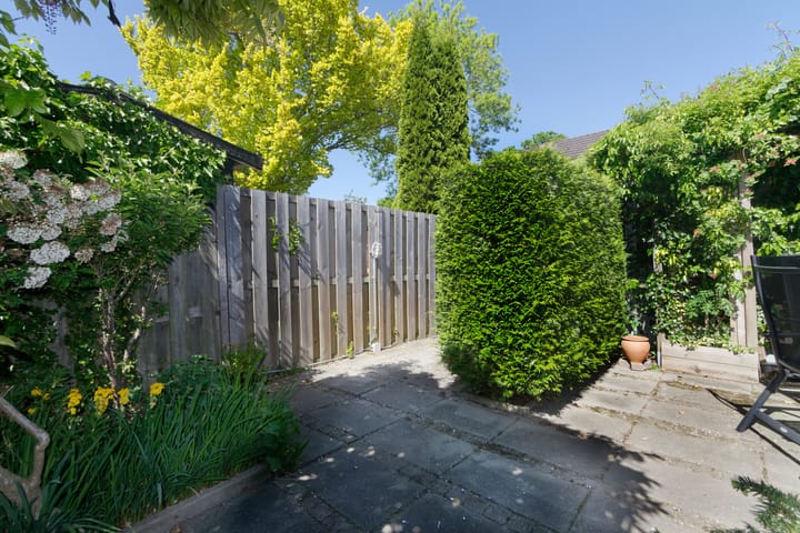 Foto 28 van Obsidiaan 11