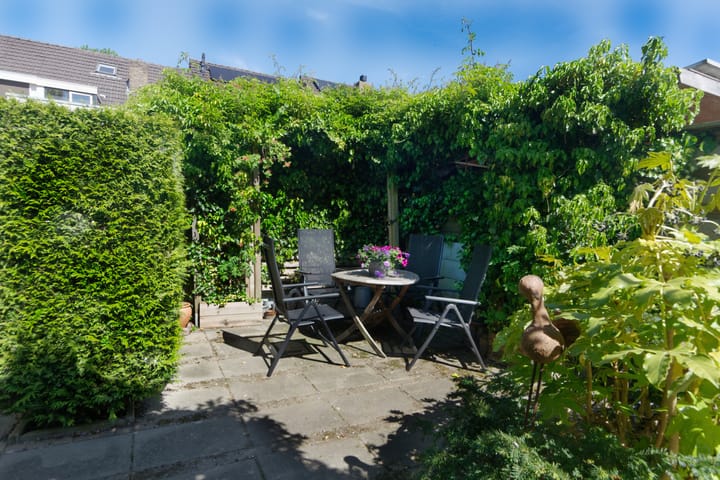 Foto 29 van Obsidiaan 11