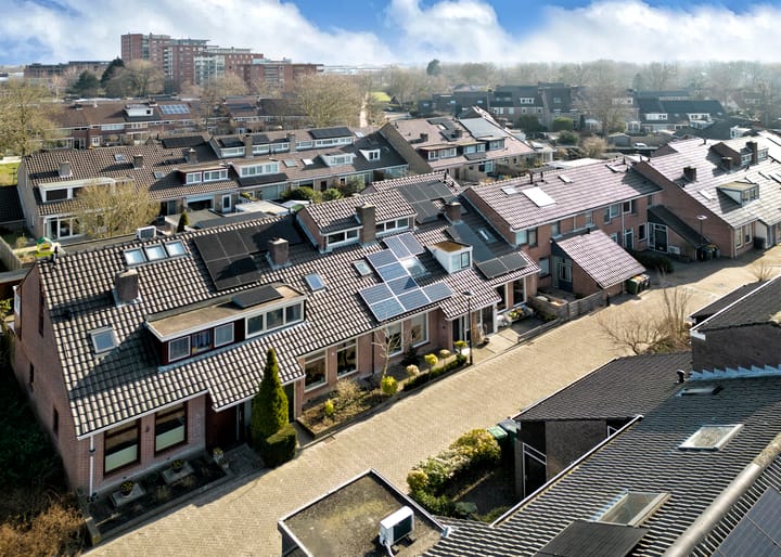 Foto 31 van Obsidiaan 11