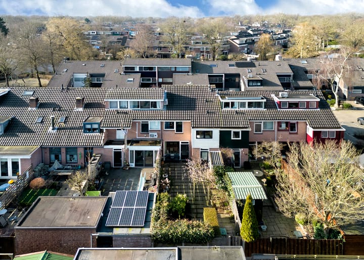 Foto 32 van Obsidiaan 11