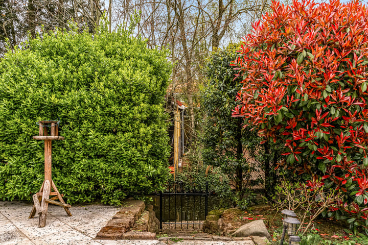 Foto 39 van Gravin Adalaan 8