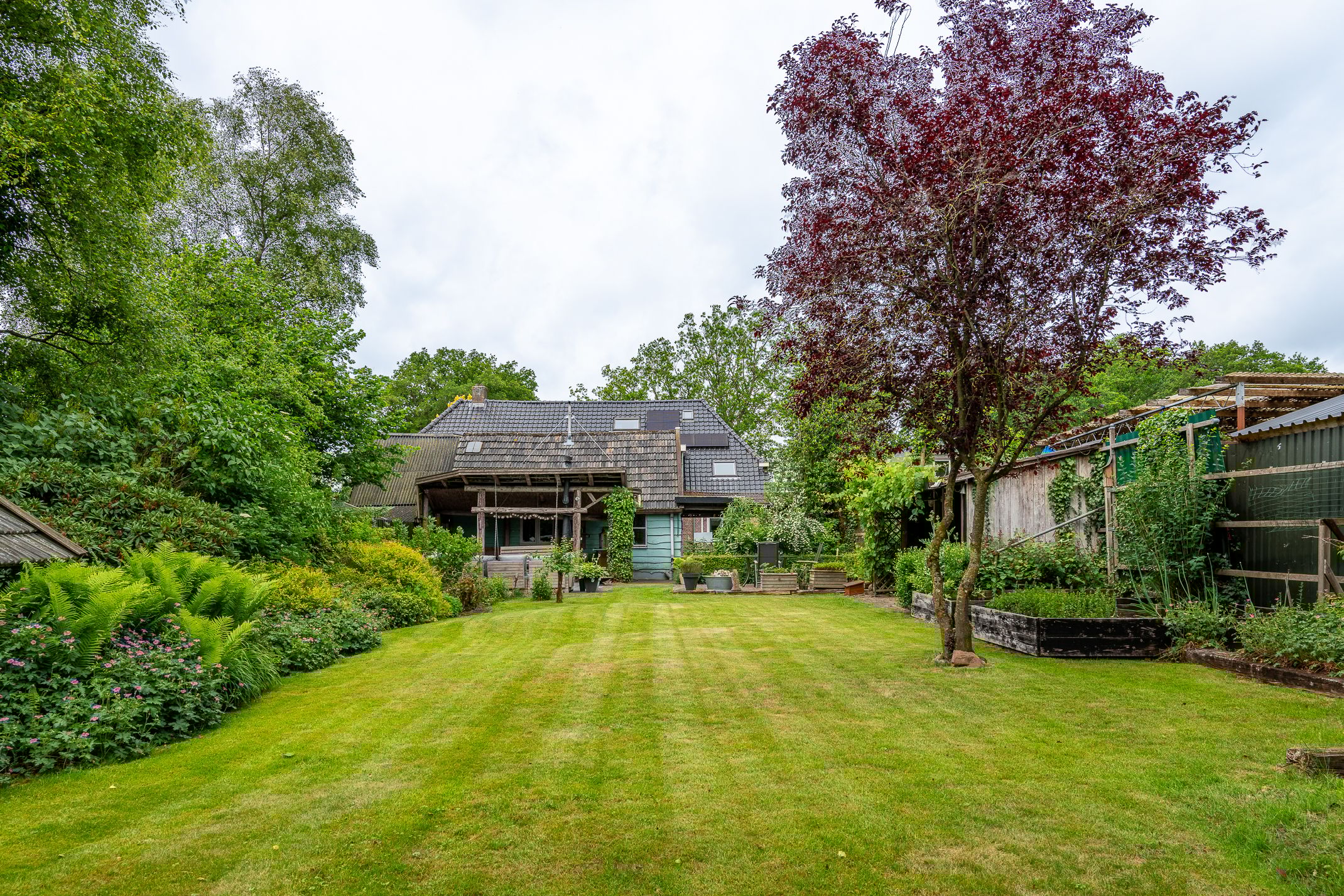 Foto 42 van Burg Tonkensstraat 1-A