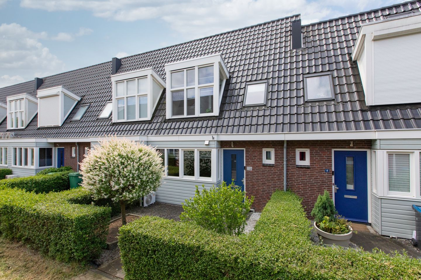 Ruijgenpad 12 main image