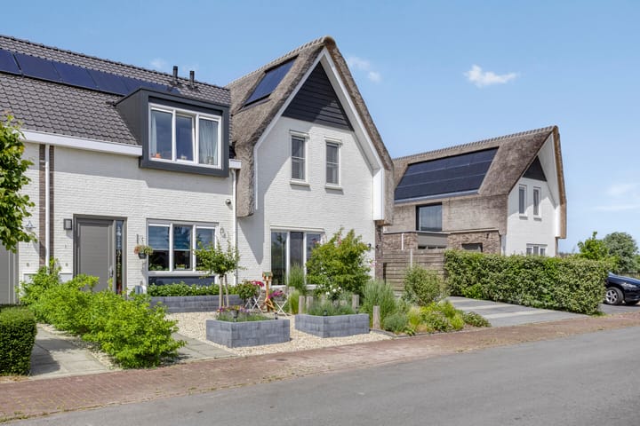 Foto 2 van Reedulf 3