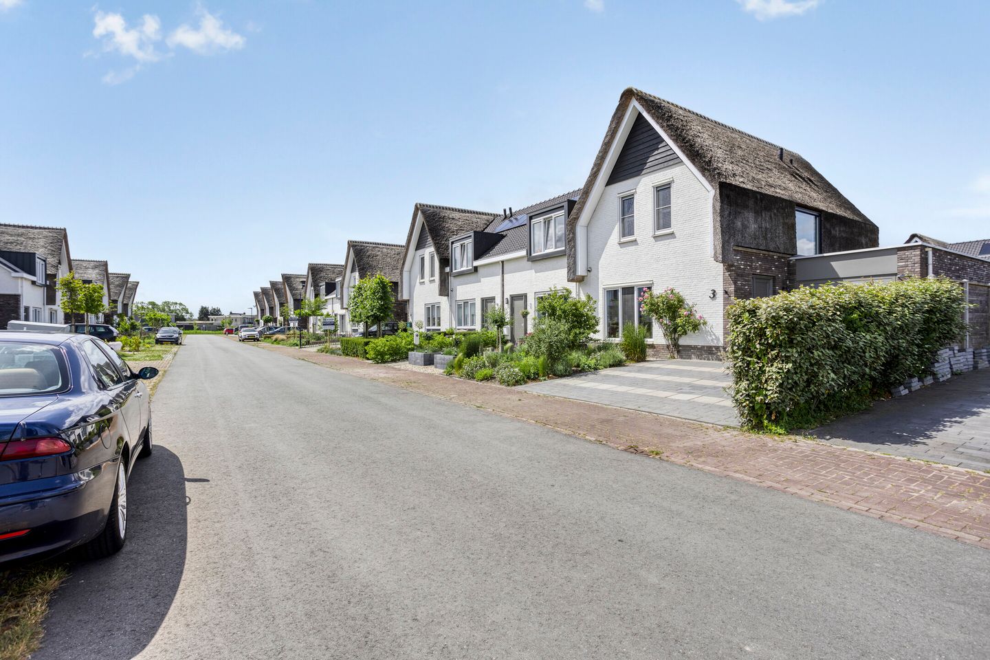 Foto 4 van Reedulf 3