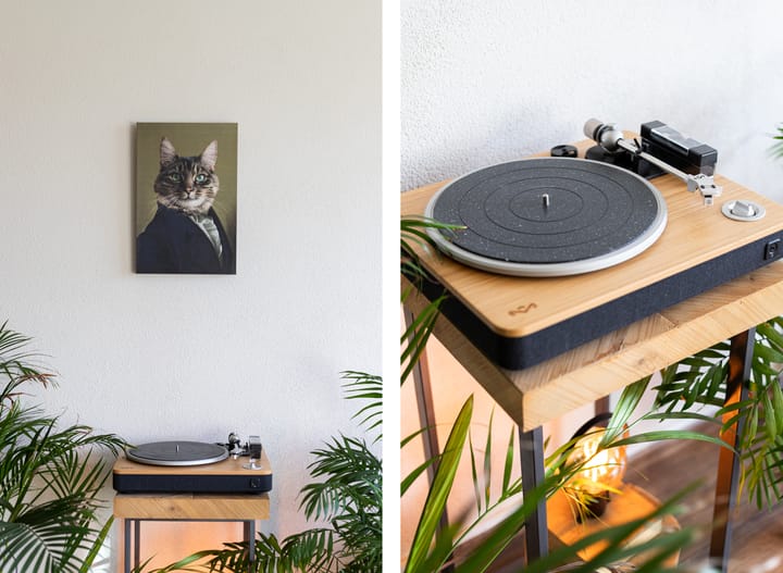 Foto 12 van Concordiastraat 7-A