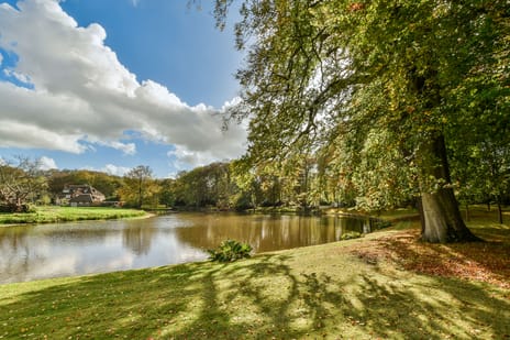 Park Oud Wassenaar 39 tertiary image