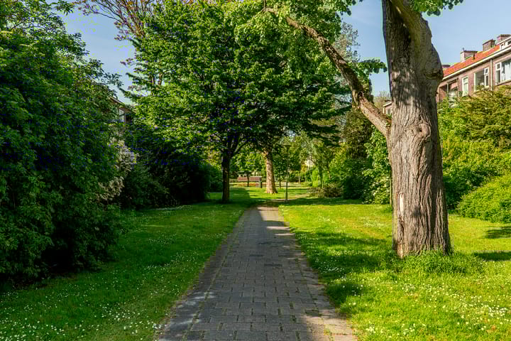 Foto 38 van Carel van Nieveltstraat 32-B