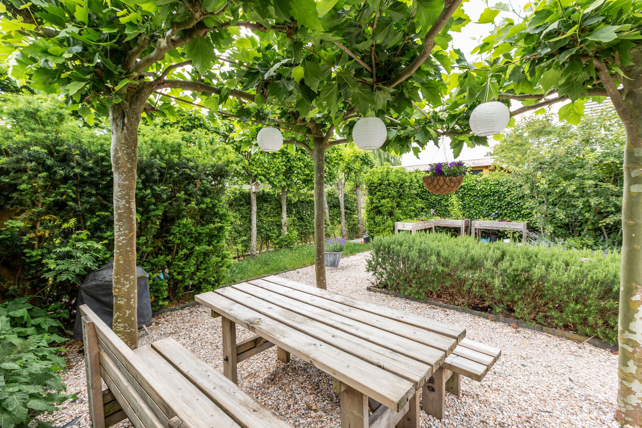 Foto 9 van Hof van Duivenvoorde 5