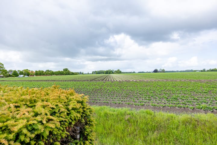 Foto 18 van Molenstraat 12