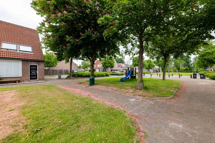 Foto 38 van Ariadne 12