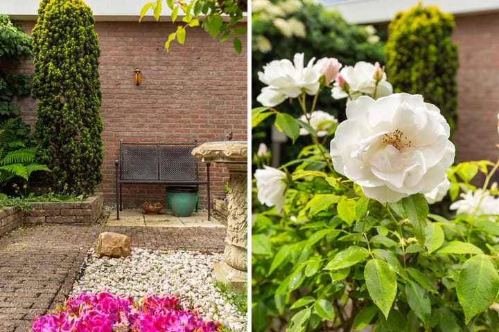 Foto 31 van Hoeker 10