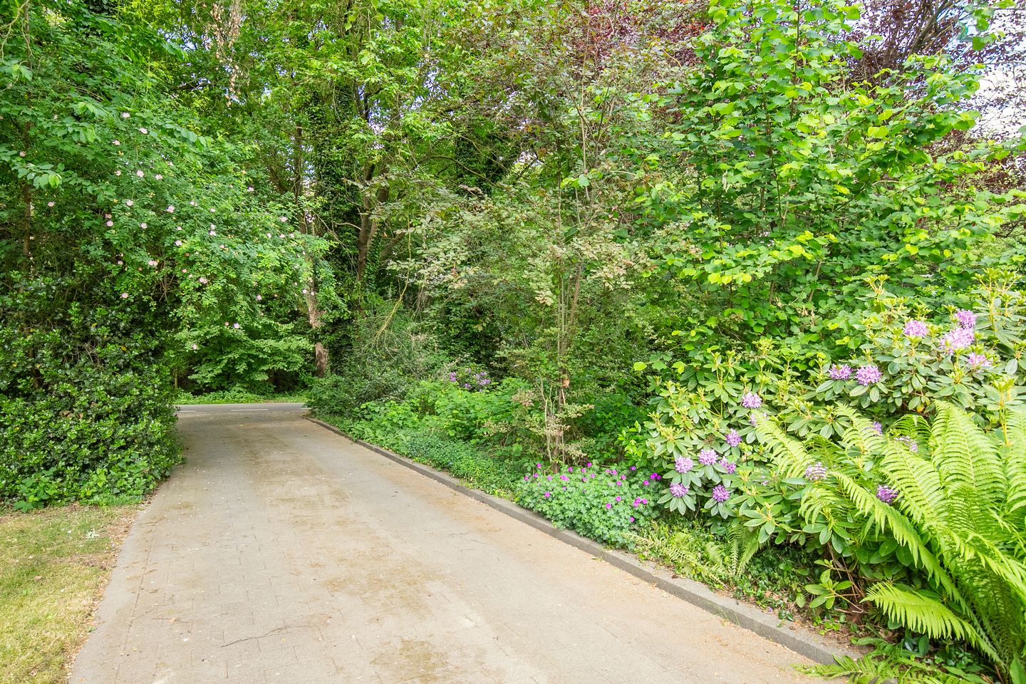 Photo 35 of Stationsweg 96