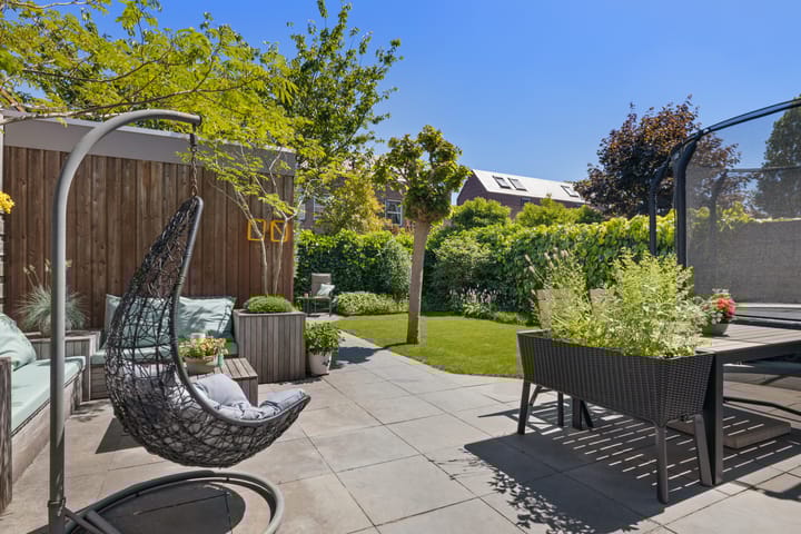 Foto 3 van Pijlstaartvlinder 21