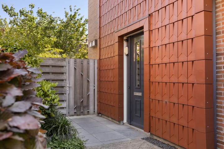 Foto 4 van Pijlstaartvlinder 21