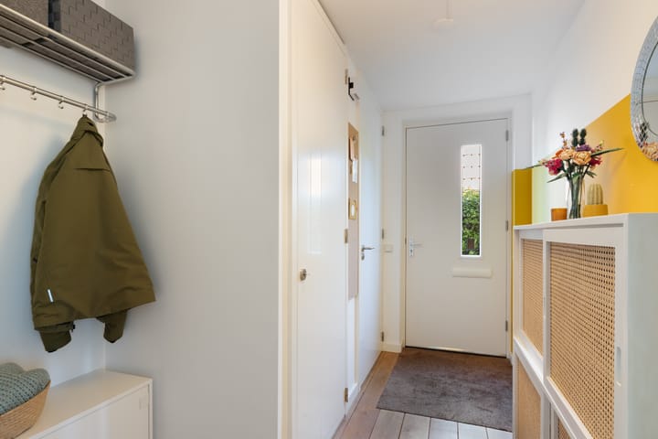 Foto 5 van Pijlstaartvlinder 21