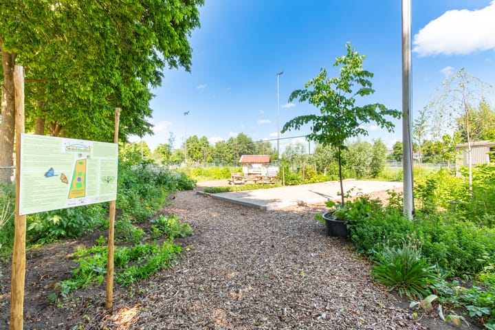 Foto 40 van Buffelstraat 95