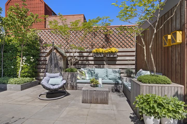 Foto 24 van Pijlstaartvlinder 21