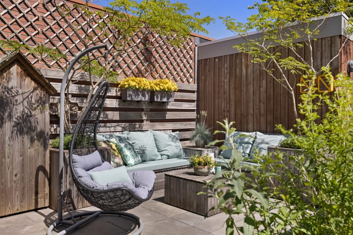 Foto 28 van Pijlstaartvlinder 21