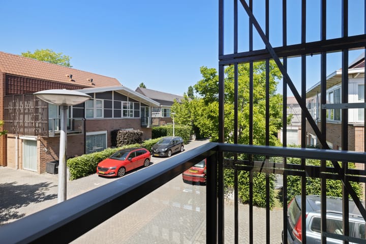 Foto 35 van Pijlstaartvlinder 21