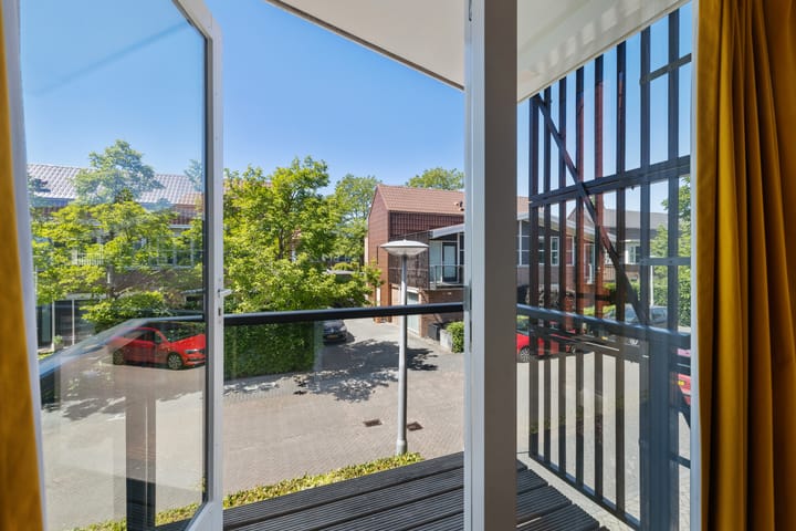 Foto 37 van Pijlstaartvlinder 21