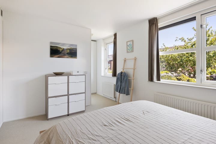 Foto 44 van Pijlstaartvlinder 21