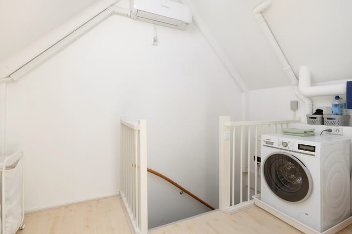 Foto 47 van Pijlstaartvlinder 21