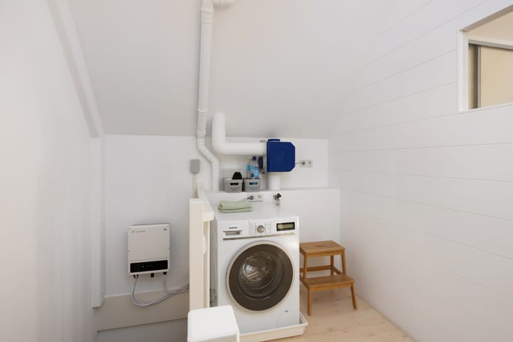 Foto 48 van Pijlstaartvlinder 21