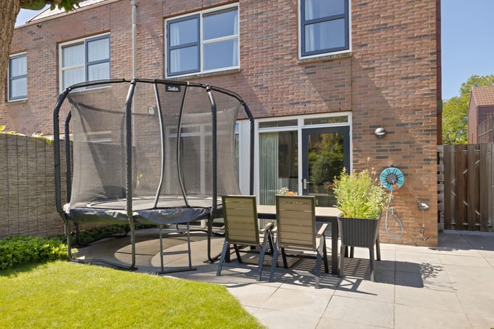 Foto 52 van Pijlstaartvlinder 21