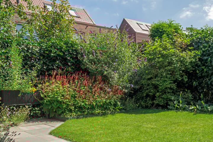 Foto 54 van Pijlstaartvlinder 21