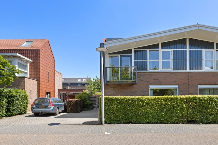 Foto 58 van Pijlstaartvlinder 21