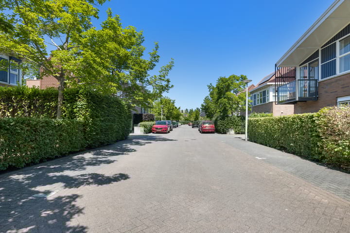 Foto 60 van Pijlstaartvlinder 21