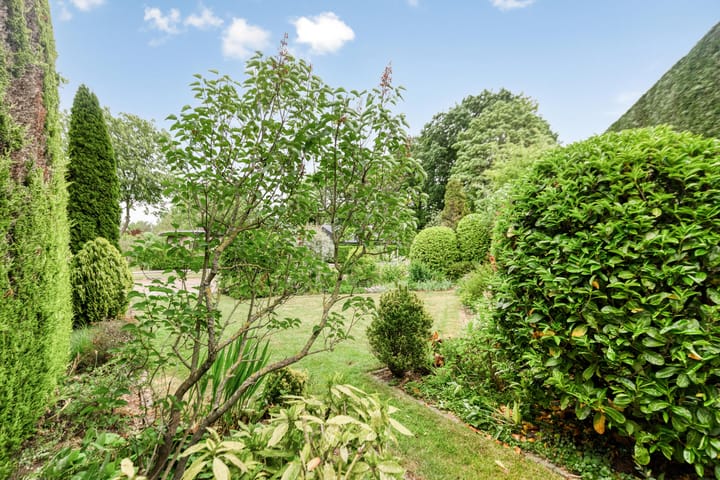 Photo 38 of Schalklaan 1