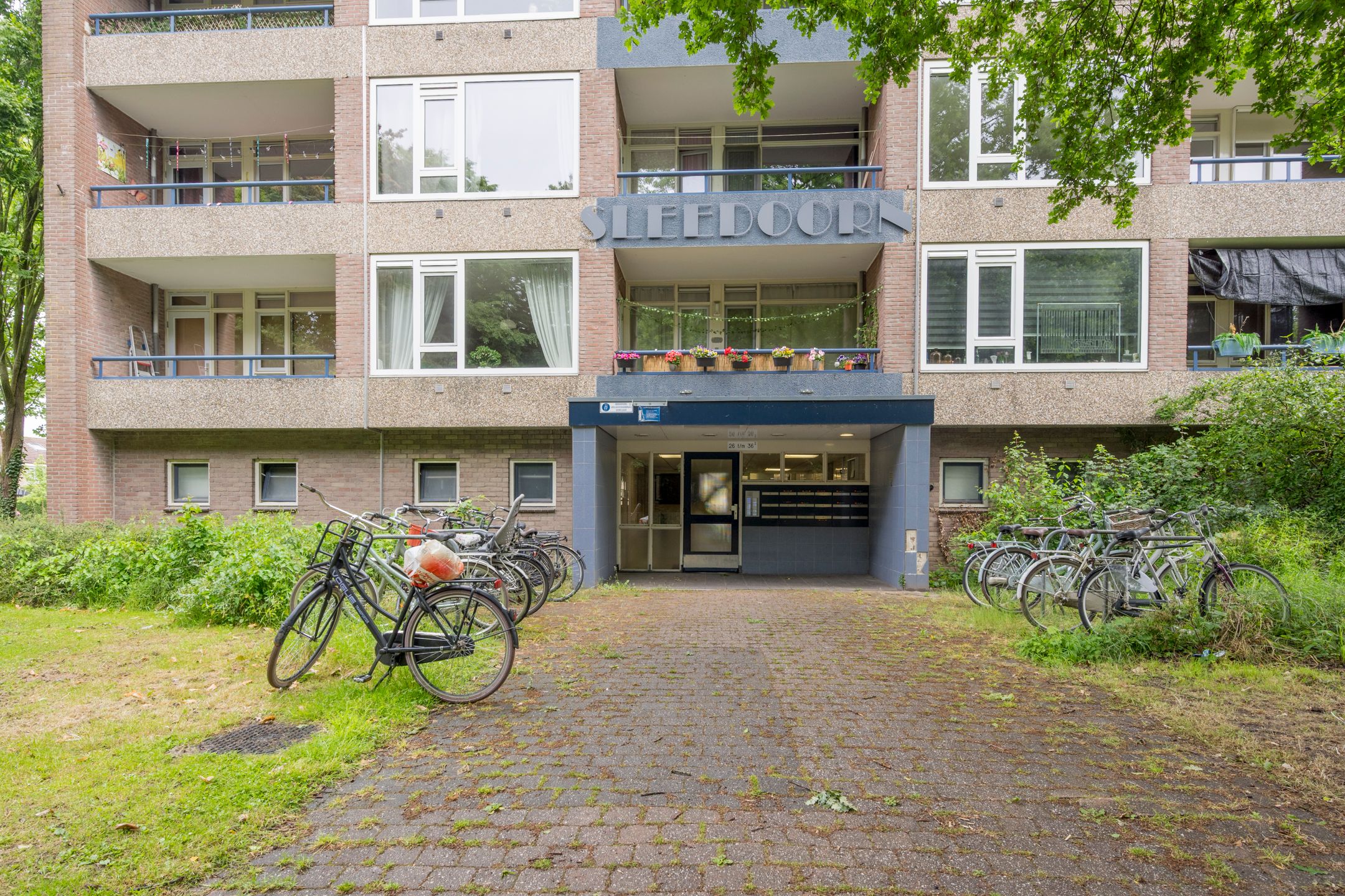 Photo 39 of Vuurdoornlaan 36-01