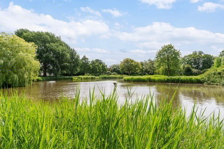 Foto 38 van van Wyckelstrjitte 44