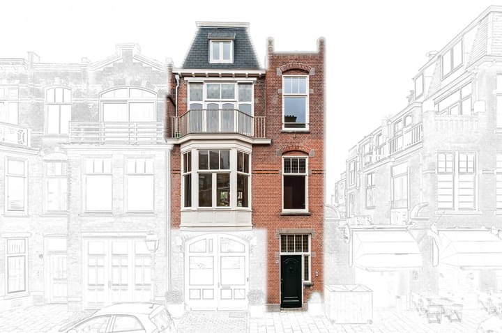 Foto 2 van Van Loostraat 81