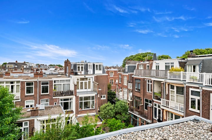 Foto 55 van Van Loostraat 81