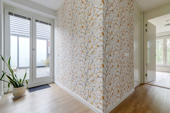 Foto 30 van Onderlangs 15