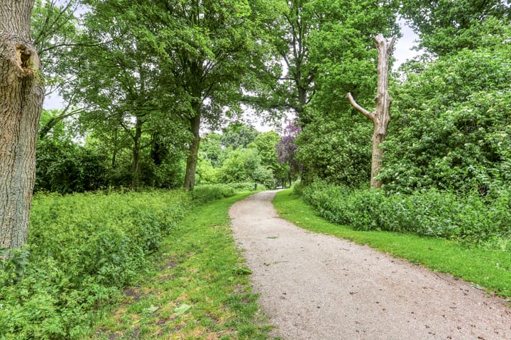 Photo 50 of de Wilgen 50