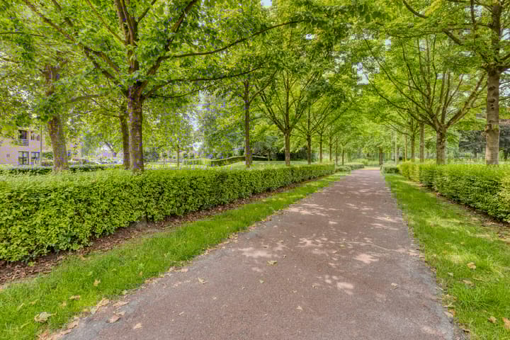 Foto 43 van Europalaan 8