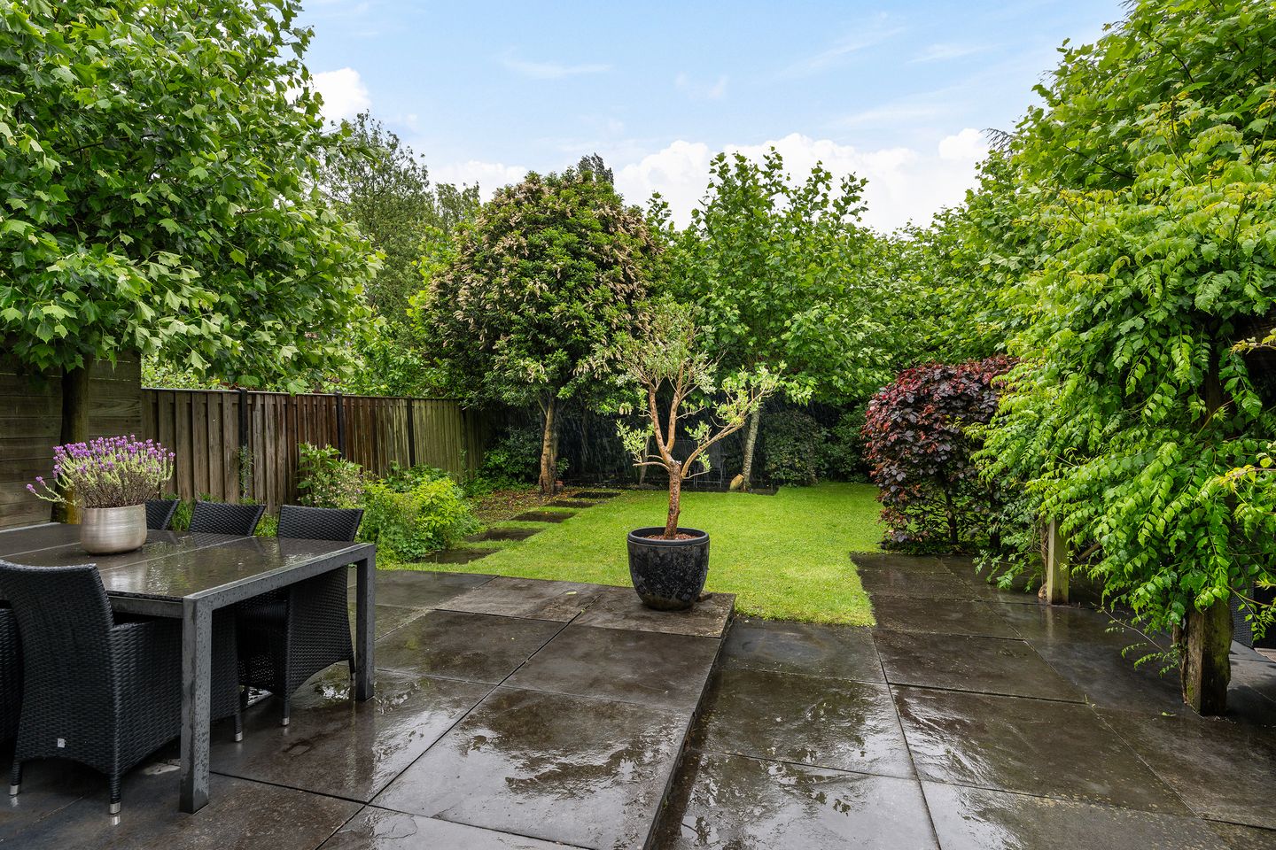 Foto 19 van Wilhelminasingel 46