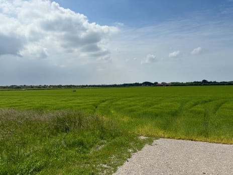 Bekijk foto's