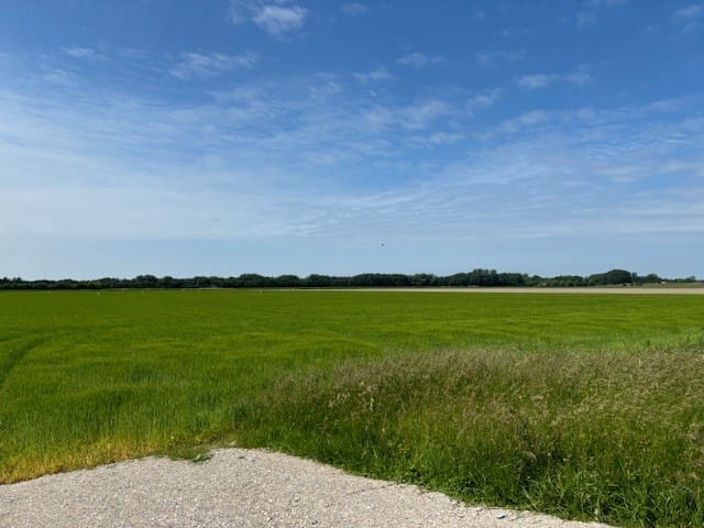 Bekijk foto 3 van Oudelandseweg