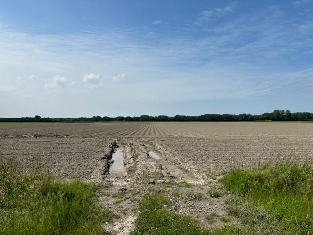 Bekijk foto 4 van Oudelandseweg